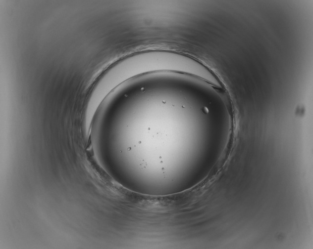 X0000111160297200906301407
