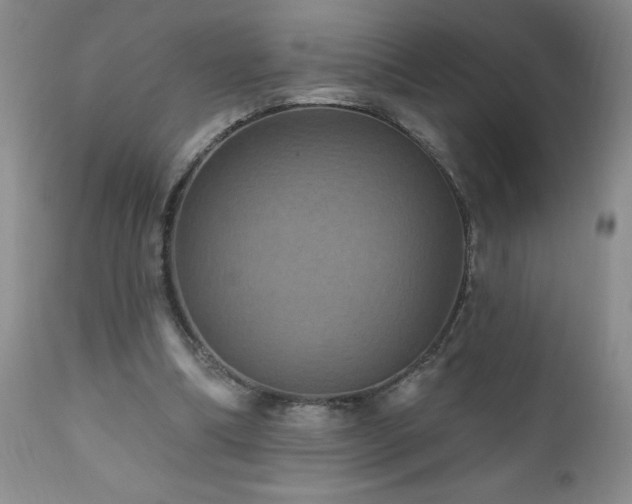 X0000111160298200906301407