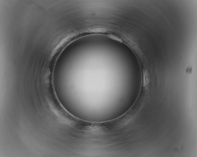 X0000111160300200906301407