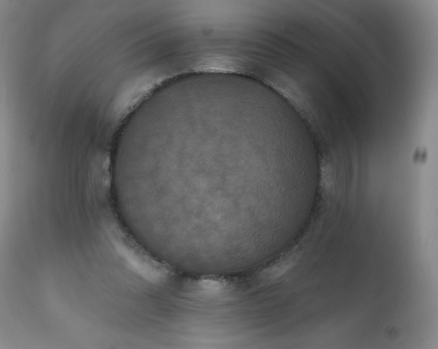 X0000111160302200906301407