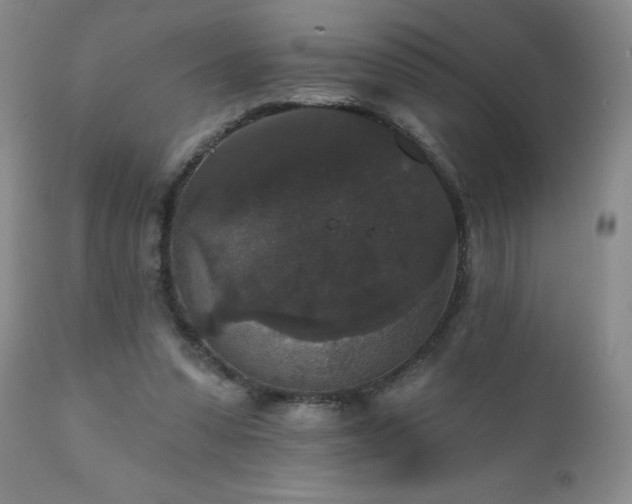 X0000111160303200906301407