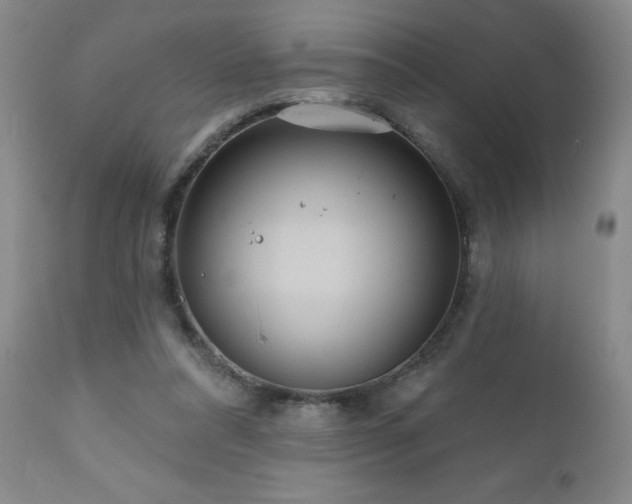X0000111160304200906301407