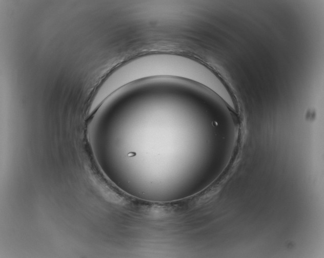 X0000111160305200906301407