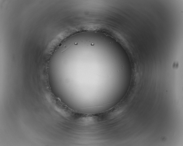 X0000111160307200906301407