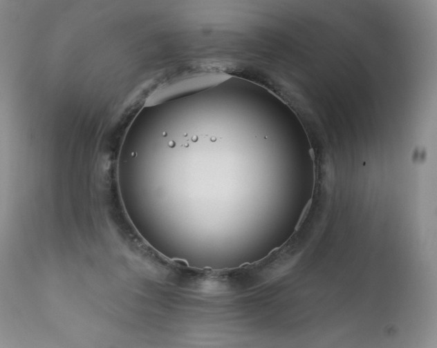 X0000111160308200906301407