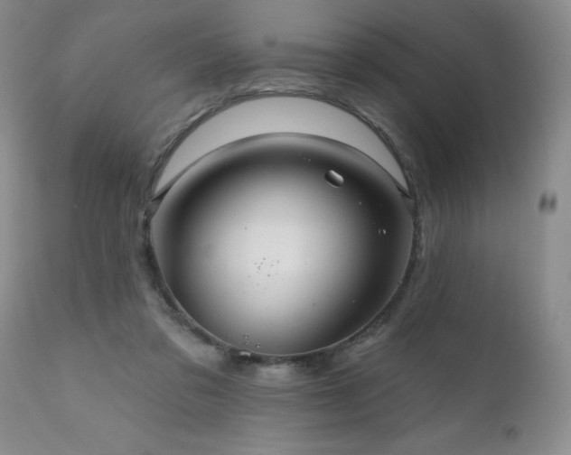 X0000111160309200906301407