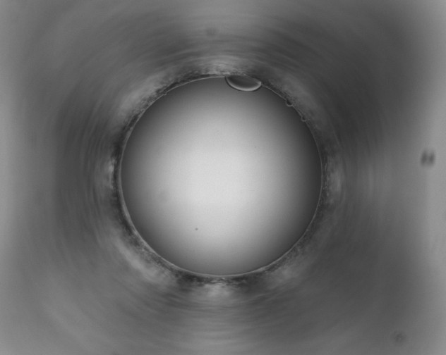 X0000111160310200906301407