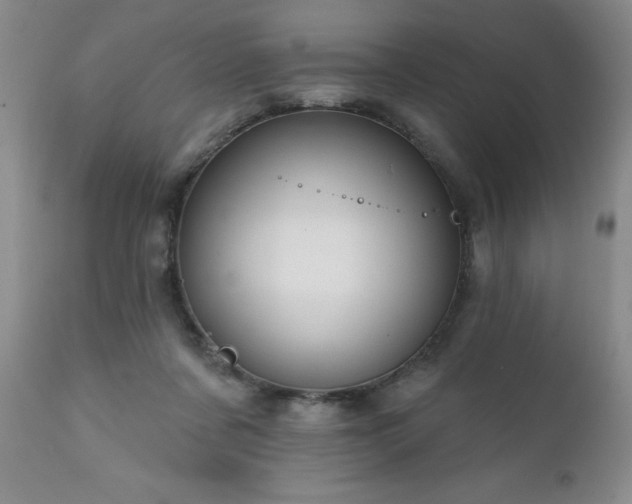 X0000111160311200906301407