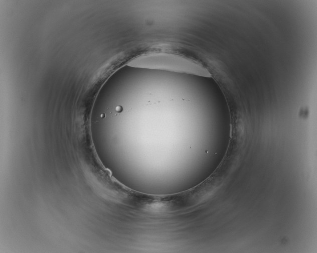 X0000111160312200906301407