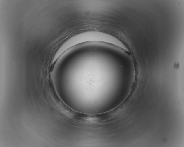 X0000111160313200906301407