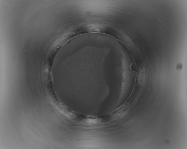 X0000111160314200906301407