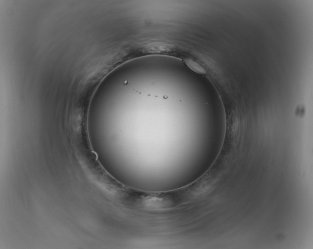 X0000111160315200906301407