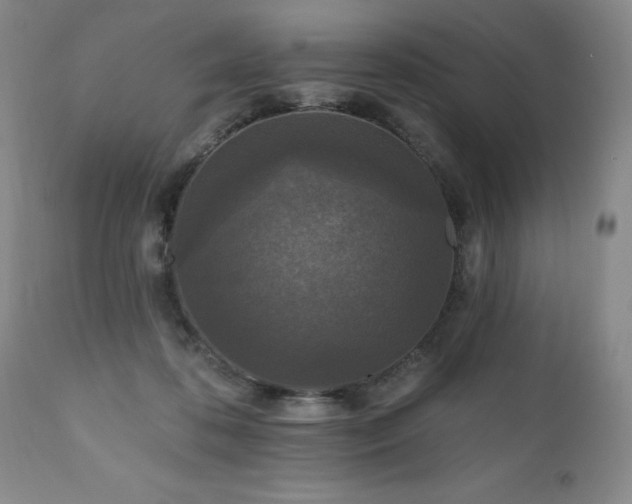 X0000111160316200906301407