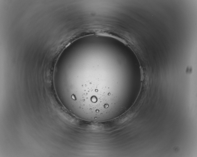 X0000111160317200906301407