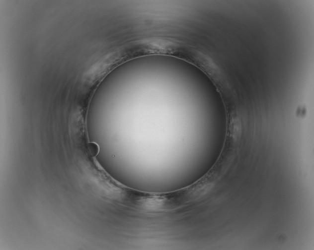 X0000111160318200906301407