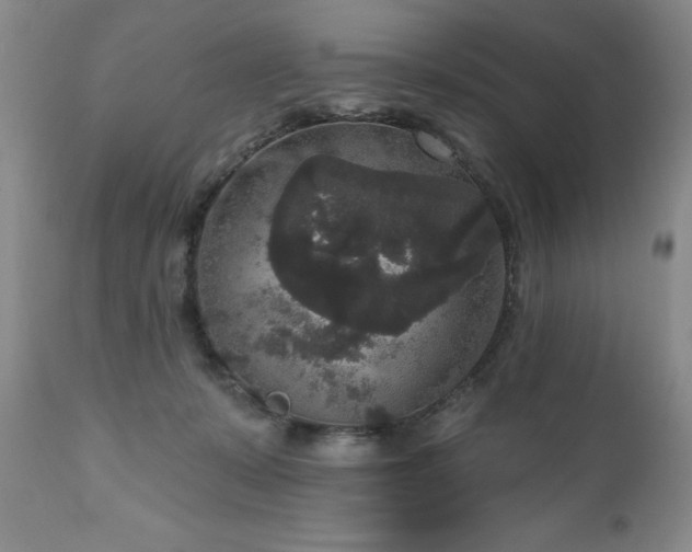 X0000111160319200906301407