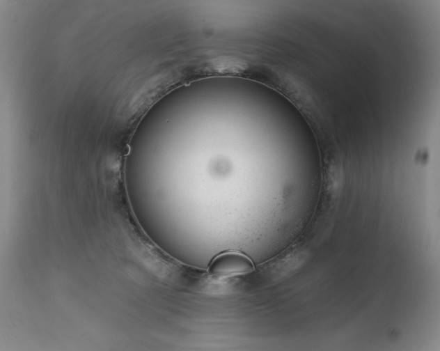 X0000111160321200906301407