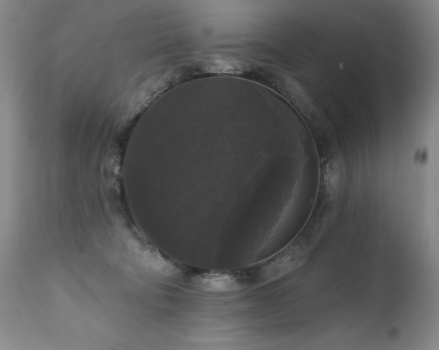 X0000111160322200906301406