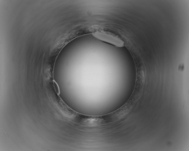 X0000111160323200906301406