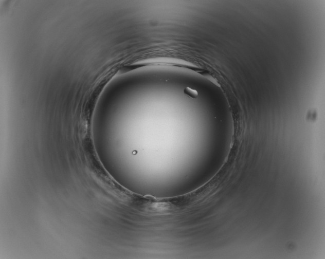 X0000111160324200906301406