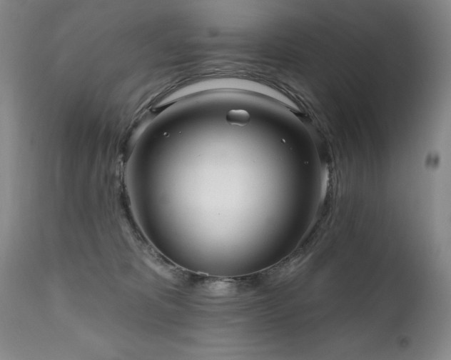 X0000111160325200906301406
