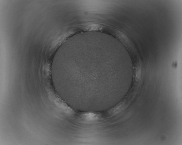 X0000111160326200906301406