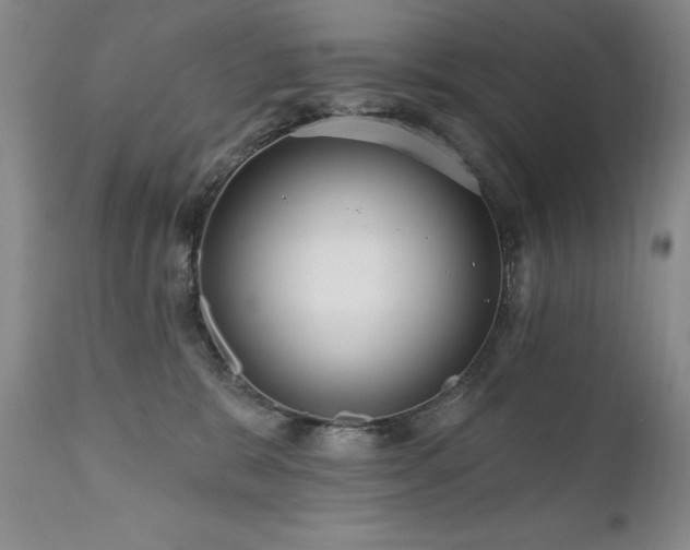 X0000111160327200906301406