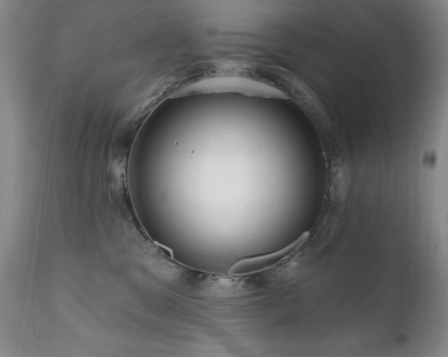 X0000111160329200906301406