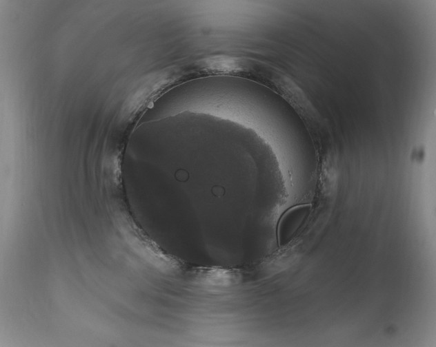 X0000111160330200906301406