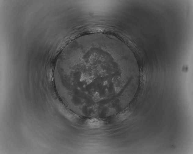 X0000111160331200906301406