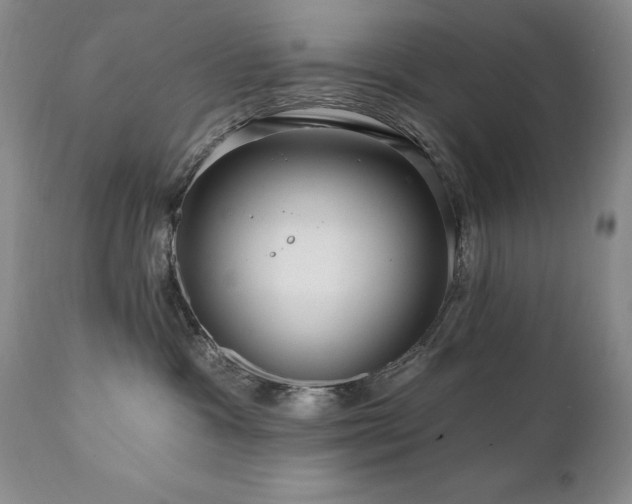 X0000111160333200906301406
