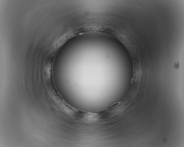 X0000111160334200906301406