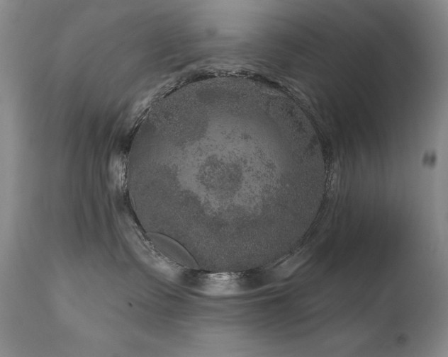 X0000111160335200906301406