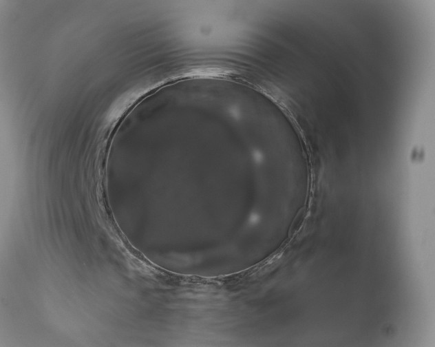 X0000111160337200906301406