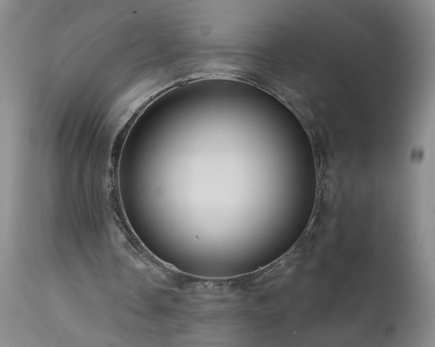 X0000111160338200906301406
