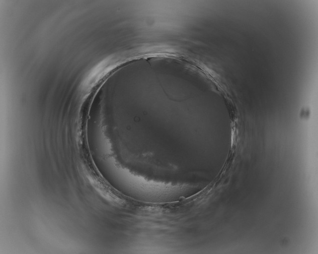 X0000111160339200906301406