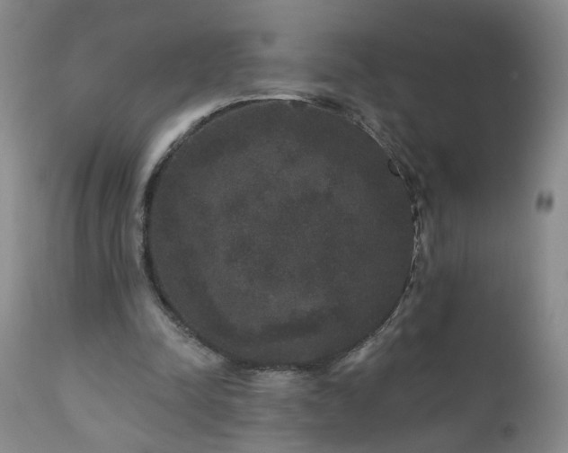 X0000111160342200906301406