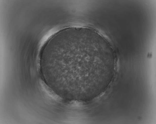 X0000111160343200906301406