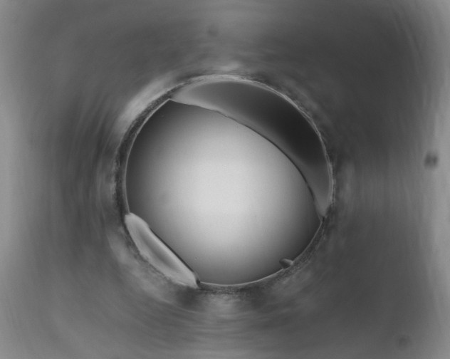 X0000111160344200906301406