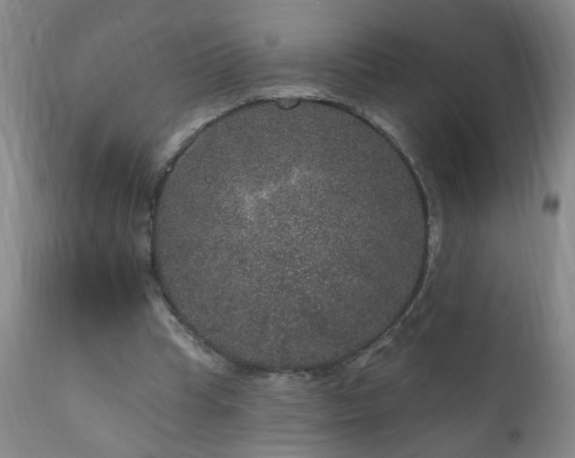 X0000111160345200906301406