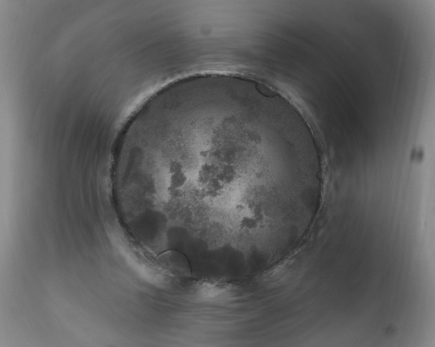 X0000111160346200906301406