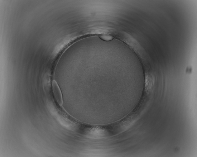X0000111160348200906301406