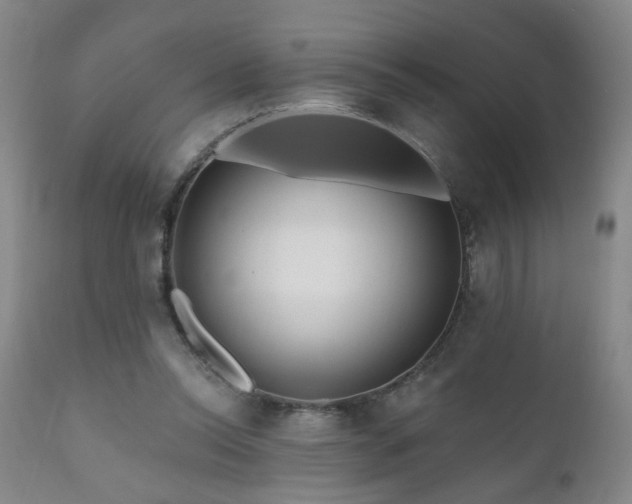 X0000111160350200906301406