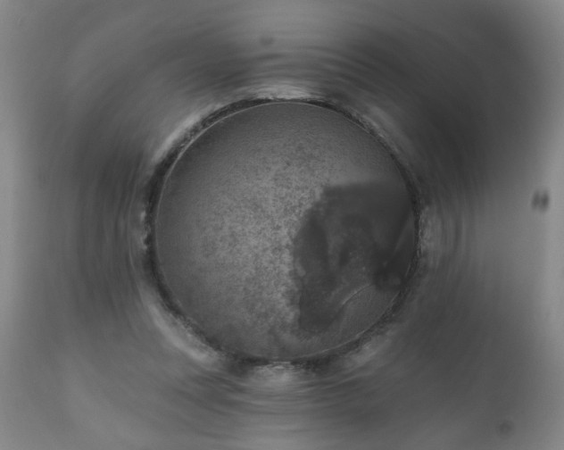 X0000111160351200906301406