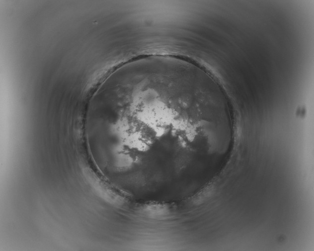 X0000111160353200906301406