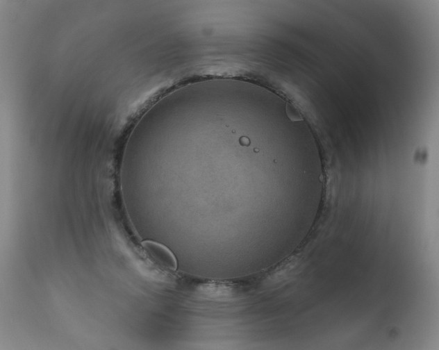 X0000111160354200906301406