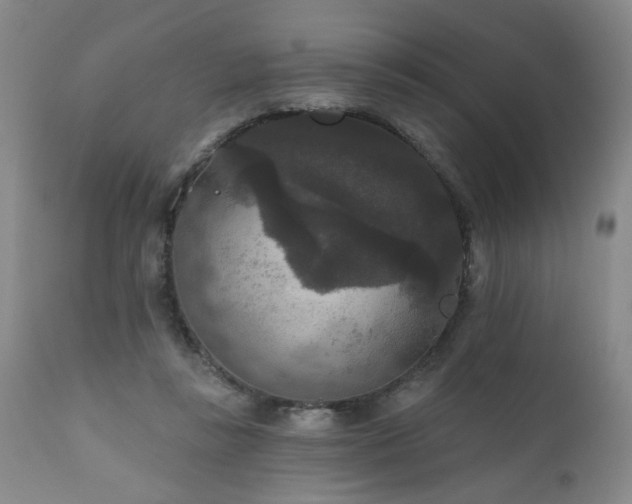 X0000111160355200906301406