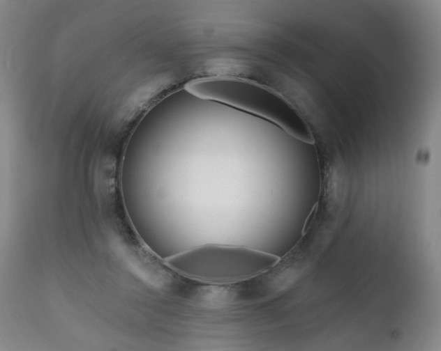 X0000111160356200906301406