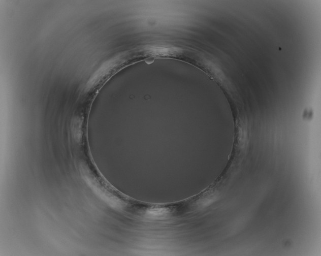 X0000111160357200906301406