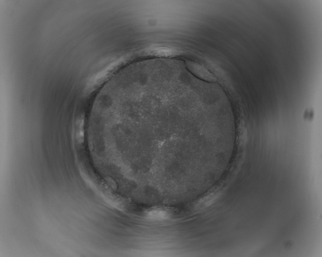 X0000111160358200906301406